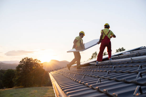 Best Roof Maintenance and Cleaning  in Green Meadows, OH